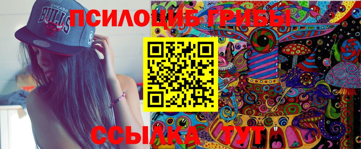 Псилоцибиновые грибы мухоморы Камышлов