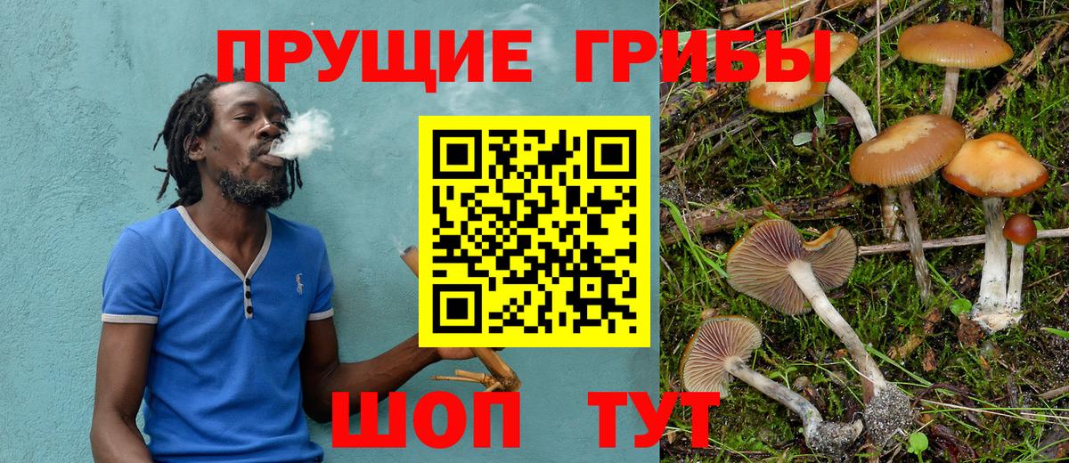 Камышлов  Псилоцибиновые грибы MAGIC MUSHROOMS  Вход с VPN 