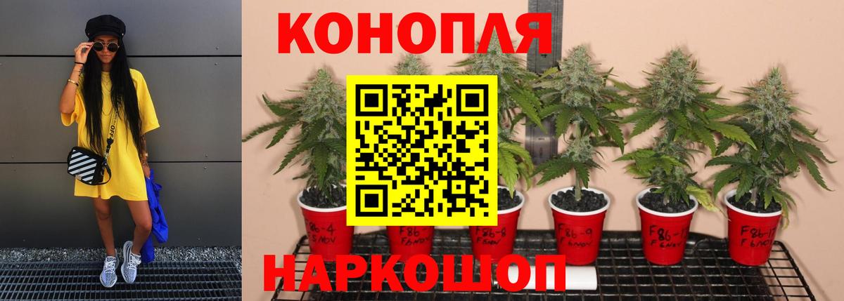 Марихуана Bruce Banner Камышлов